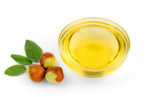 Bowl with jojoba oil, ripe fruits and green leaves on white background